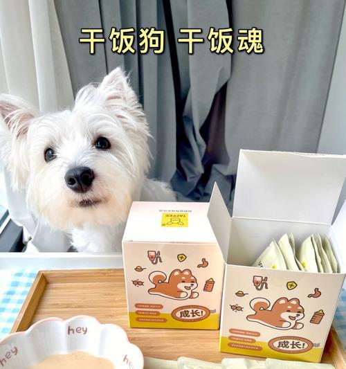 如何给幼犬补充营养？（掌握这些方法，让你的宠物健康成长！）