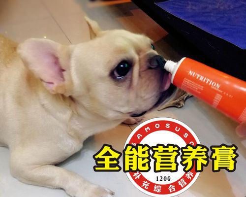 如何给幼犬补充营养？（掌握这些方法，让你的宠物健康成长！）