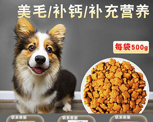 约克夏的营养需求与狗粮选择（为宠物健康选择最优狗粮，从饲料成分到品牌选择全方位介绍）