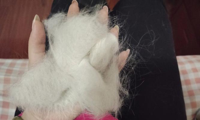 猫咪脱毛的原因及应对方法（探究猫咪脱毛的原因，科学防范养护）