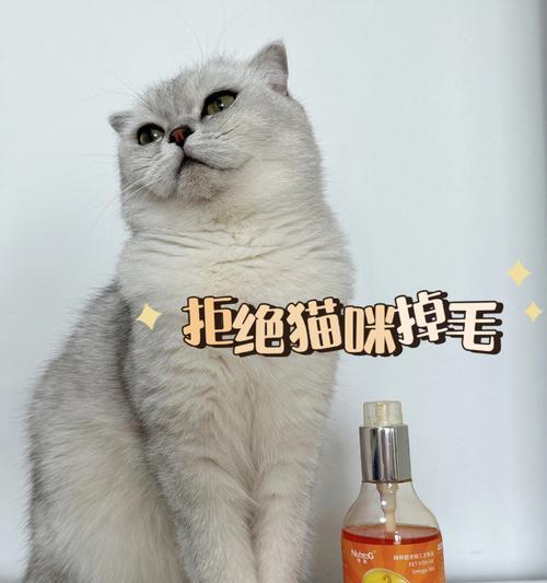 猫咪脱毛的原因及应对方法（探究猫咪脱毛的原因，科学防范养护）