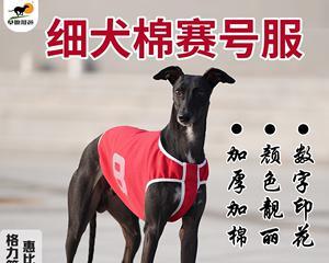 如何养好赛道犬——科学饲养和调节（让你的宠物成为高质量赛道犬，）