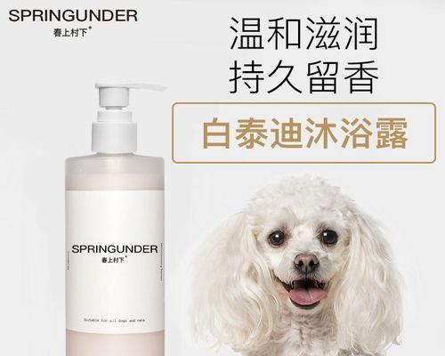 宠物洗澡必备用品推荐（以贵宾犬为例，了解哪些用品是必备的）