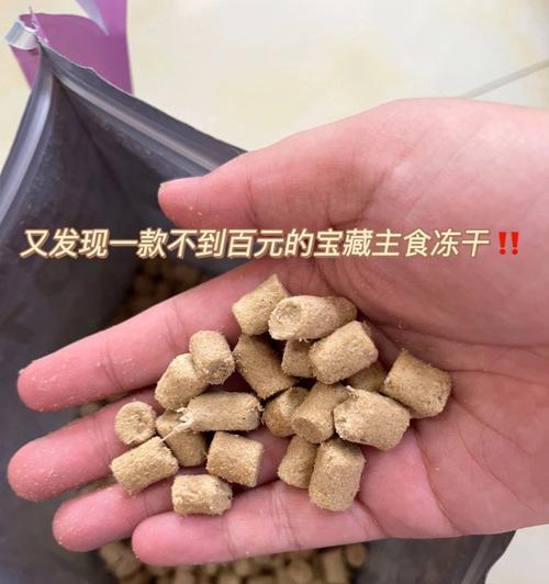 柯基犬的饮食需求（以宠物为主，探讨柯基犬的饮食需求和营养摄入）