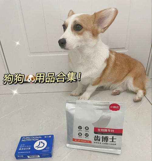狗狗生活用品的清洗必备（关爱宠物，从清洁开始）