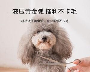 自己在家给狗狗剪毛，轻松做到！（宠物护理小技巧，让你轻松掌握）