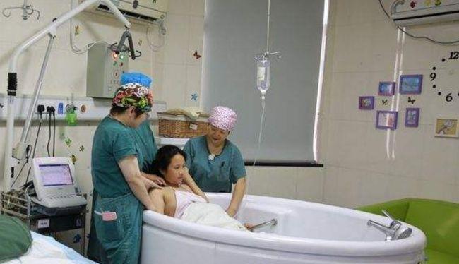 从“爱尔兰梗分娩全过程”看宠物生育健康（了解宠物分娩全过程，关注宠物健康）