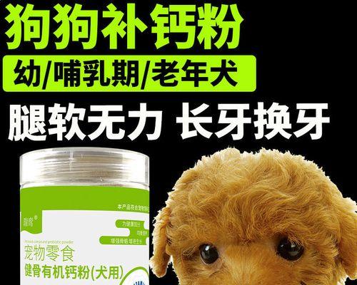 金毛缺钙怎么办？养宠必备知识！（一定要注意金毛缺钙了，不然后果很严重！——宠物家长必看）
