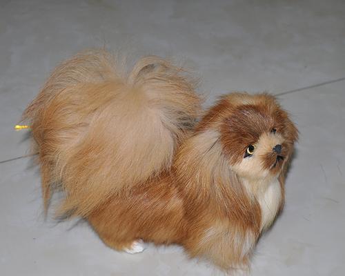 京巴犬的腰椎病治疗方法（关爱宠物，科学治疗；腰椎病，犬医重点关注。）