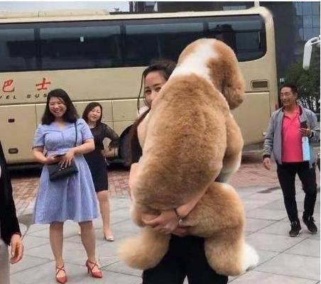揭秘巨型贵宾犬的草食习惯（为什么巨型贵宾犬喜欢吃草？）