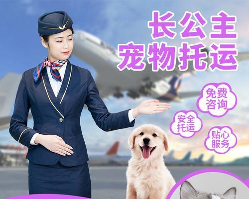 宠物托运流程详解（以凯利蓝梗航空为例，让宠物舒适地旅行）