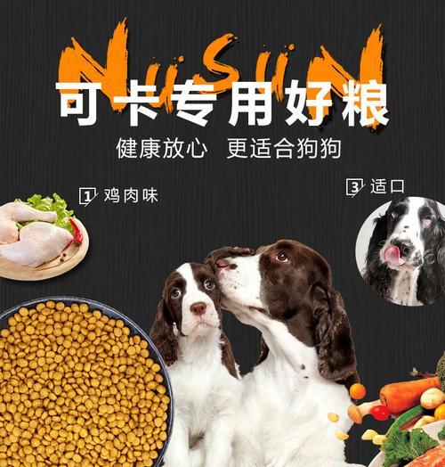如何让可卡犬健康吃饭（避免不当食物，合理配餐，关注健康）