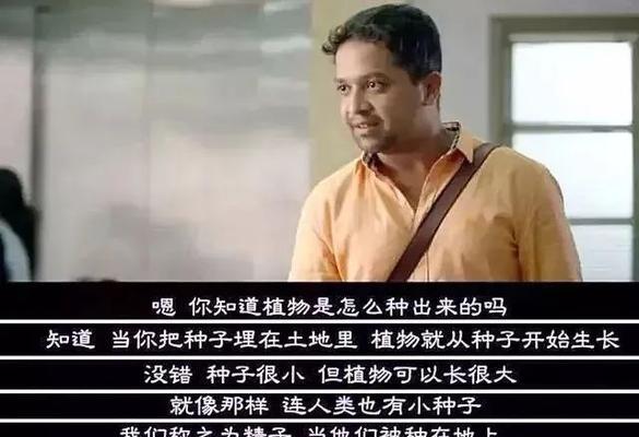 如何矫正可卡犬的破坏性行为（宠物狂热者必备——从根源解决可卡犬破坏问题）