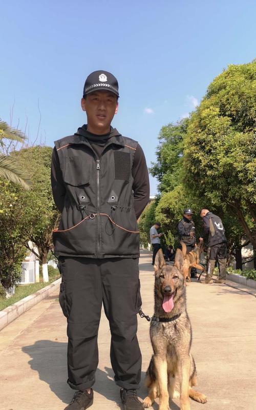 如何正确喂养昆明幼犬（以宠物为主，关注幼犬健康）