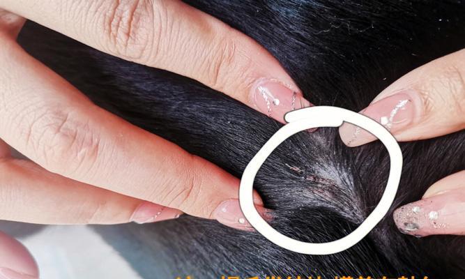 如何有效预防和治疗拉布拉多常见皮肤病（宠物狗皮肤健康必须注意的15个问题）