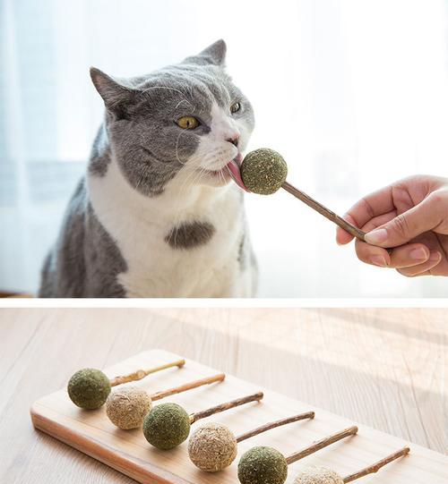 猫薄荷与猫咪的关系（猫咪为什么喜欢猫薄荷？猫薄荷会对猫咪造成危害吗？）