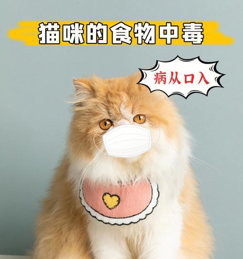 宠物冬季常见疾病及预防措施（关爱毛孩子，守护健康一冬）