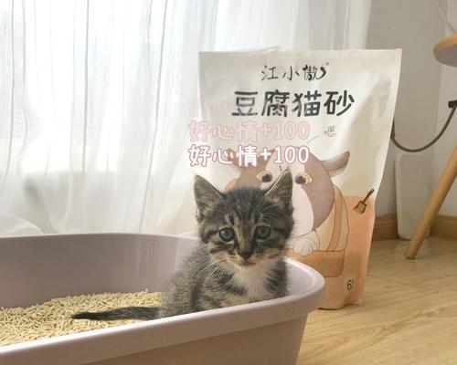 如何让宠物猫咪爱上使用猫砂盆？（解决宠物猫咪不使用猫砂盆的问题，提升宠物生活质量）