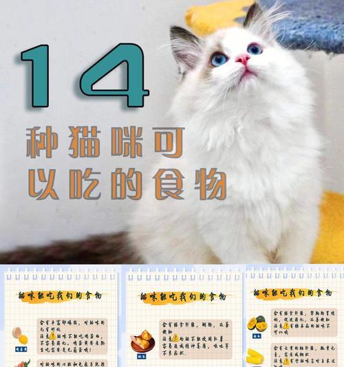 猫咪不能吃的食物大揭秘（15种常见食物，猫咪千万别碰！）