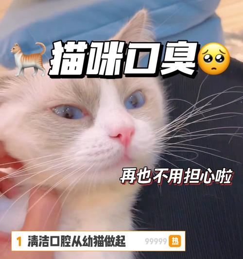 宠物猫咪口臭原因分析（为什么猫咪会出现难闻的口臭？——揭秘猫咪口臭背后的真相）