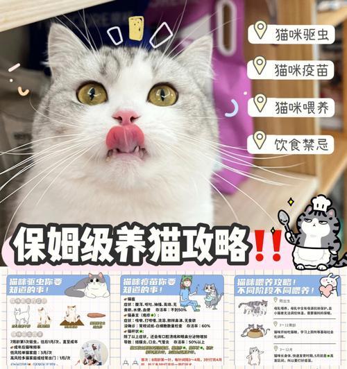 宠物猫咪洗澡必知必会（猫咪洗澡的注意事项，让你的爱宠健康洁净）