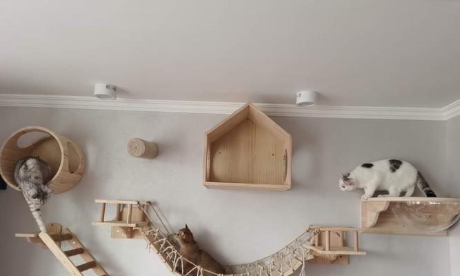 猫咪毁家族，如何应对？（宠物家居装修不能忽视的问题，让家具与宠物和谐共存）
