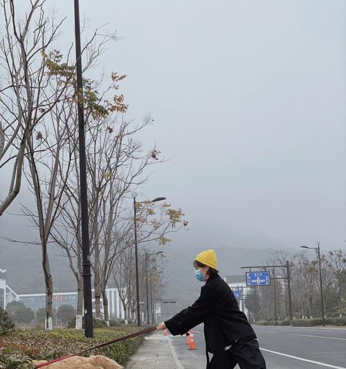 每日遛狗时间需多久？（如何科学合理地安排遛狗时间）
