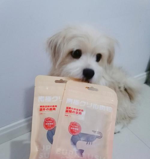 可喂食给狗狗的15种零食（宠物营养小知识，健康犬猫成长）