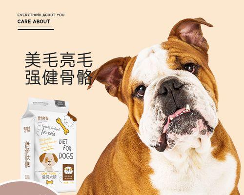 频繁更换斗牛犬狗粮的坏处（为什么频繁更换狗粮对斗牛犬不利？）