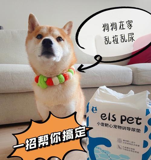 七招教你防止狗狗尿湿轮胎（从宠物主人的角度出发，有效解决狗狗尿湿轮胎的问题）