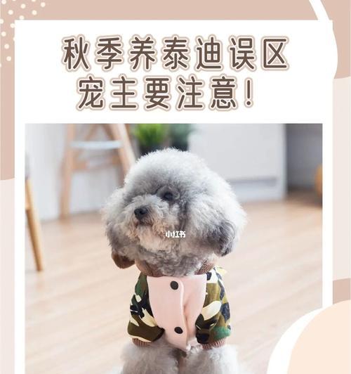 秋季狗狗保健指南（预防狗瘟，防止感冒，让宠物健康过秋）