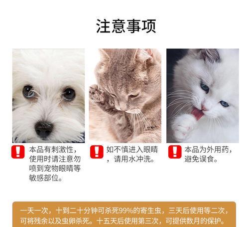 驱虫后为什么狗狗还能看到跳蚤？（探究驱虫与防跳蚤的关系，宠物主人必须知道的关键点）