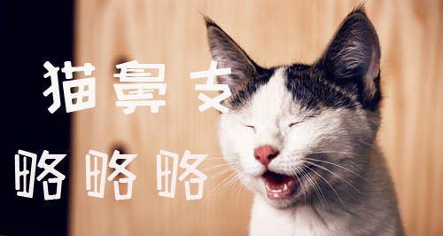 以拳师犬一直打喷嚏的原因（探究拳师犬长期打喷嚏的背后原因，预防方法有哪些？）