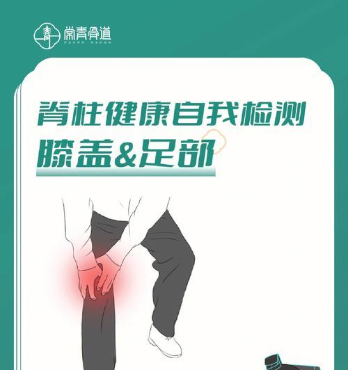 爬楼梯要小心，日本梗脊椎易受伤！（宠物爱好者必看的脊椎保健指南）