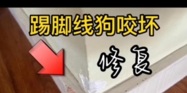 如何防止狗狗咬家具？（宠物爱咬家具，怎么办？）
