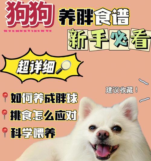 科学合理的狗狗喂食指南（保证宠物健康与快乐的关键）