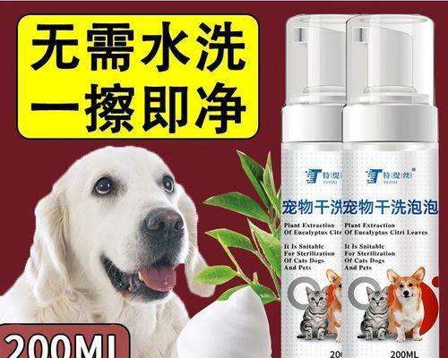 如何正确给拉布拉多犬洗澡（健康护理细节与技巧）