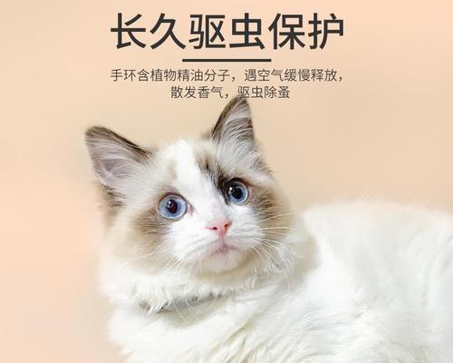 如何选购适合猫咪的除骚祛虱项圈（保护宠物健康，让猫咪远离骚扰）