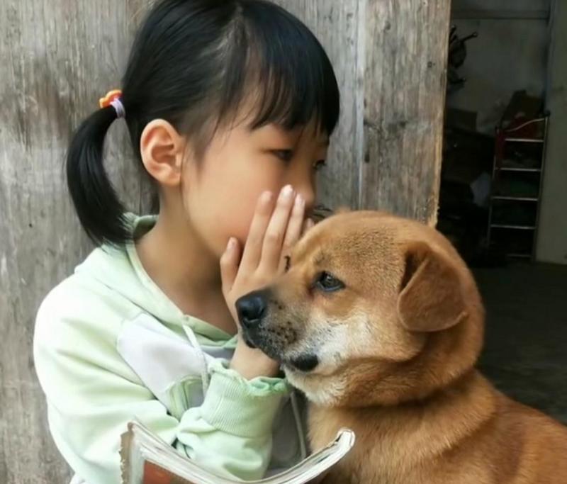 如何让你的宠物狗听懂你的话（有效的方法和技巧，让你和你的狗狗更加亲密）