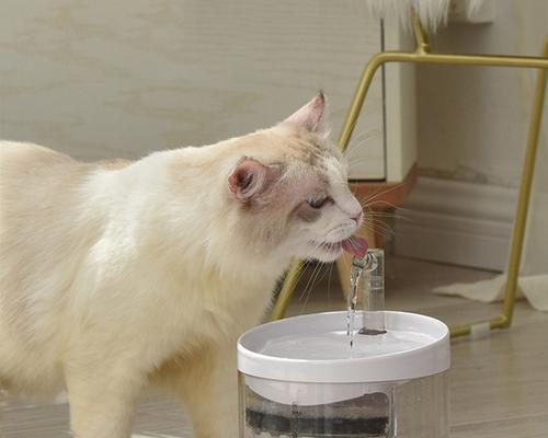 让宠物猫多喝水，健康更重要（如何让猫咪每天喝足水，养成良好的饮水习惯）