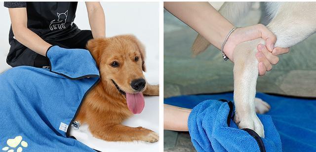 如何训练狗狗学会握手动作（一步步教你打造与狗狗的默契，让握手变得简单易懂！）