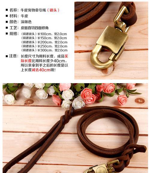 哈士奇牵引绳的正确使用方法（让您的宠物出行更安全）