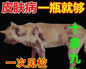 治愈圣伯纳犬螨虫病的终极指南（用最佳方法和技巧恢复您宠物犬的健康）