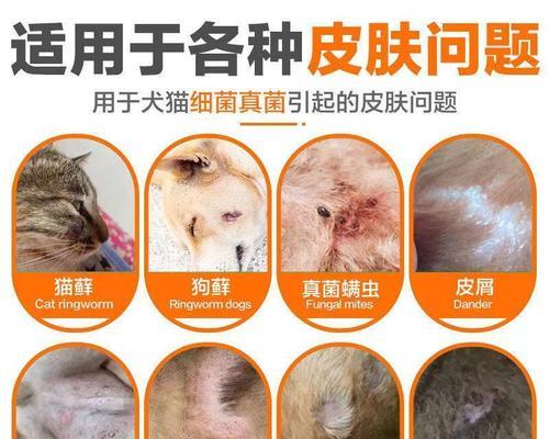 治愈圣伯纳犬螨虫病的终极指南（用最佳方法和技巧恢复您宠物犬的健康）