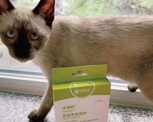 如何为三个月大的猫咪做驱虫？（宠物健康的保障，从做好驱虫开始！）