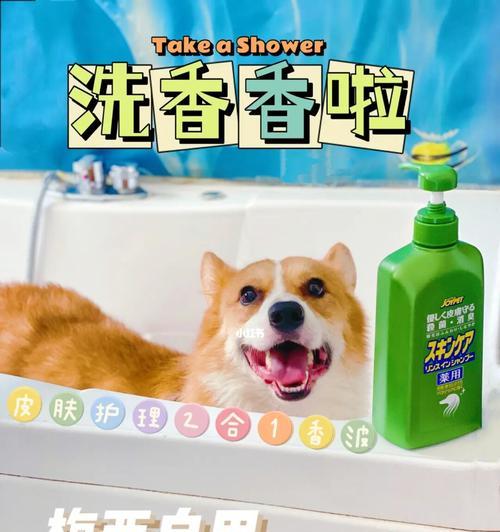 谨慎选择狗狗沐浴露！（什么沐浴露不适合给狗狗使用？）