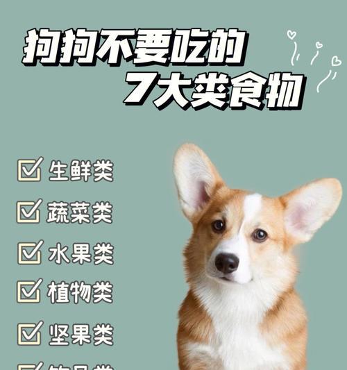 爱宠小常识（注意！这些食物会危害你的宠物健康！）