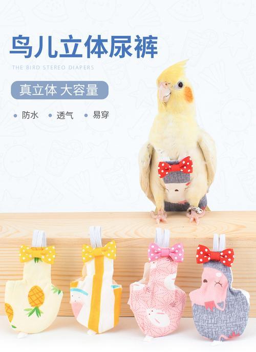如何以鹩哥的饮食喂养出健康活泼的宠物鹦鹉？（以鹩哥吃什么能像鹦鹉那样喂养？）