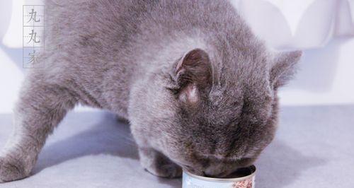 如何正确保鲜猫罐头（让宠物健康吃罐头，你需要知道的保鲜技巧）