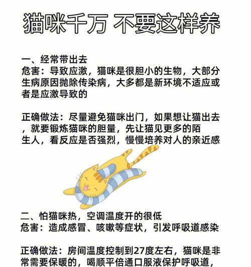 猫咪进新环境的应激反应（从适应期到行为改变，如何让猫咪适应新环境？）